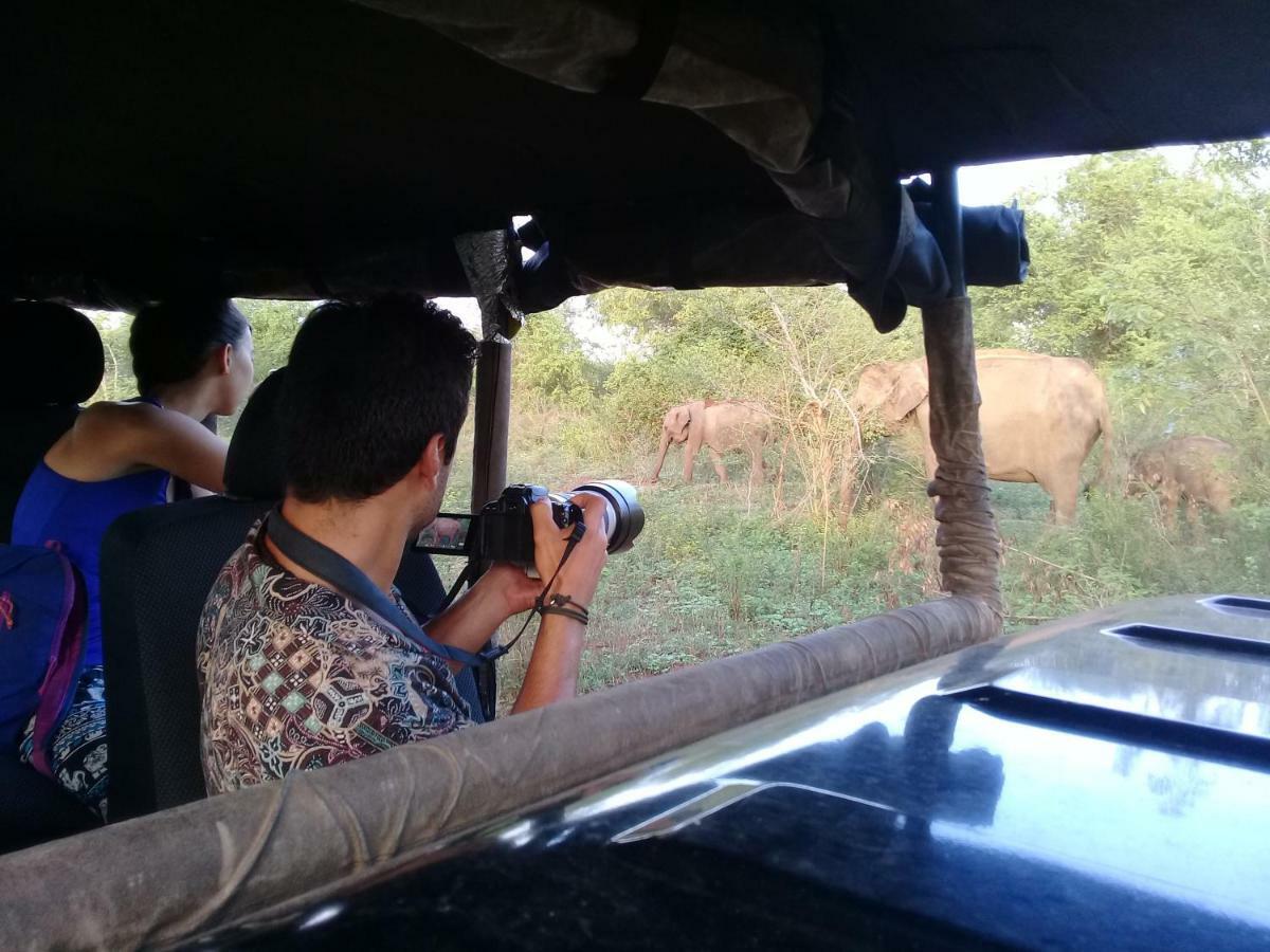 Tusker's Paradise Safari Villa Udawalawe Bagian luar foto