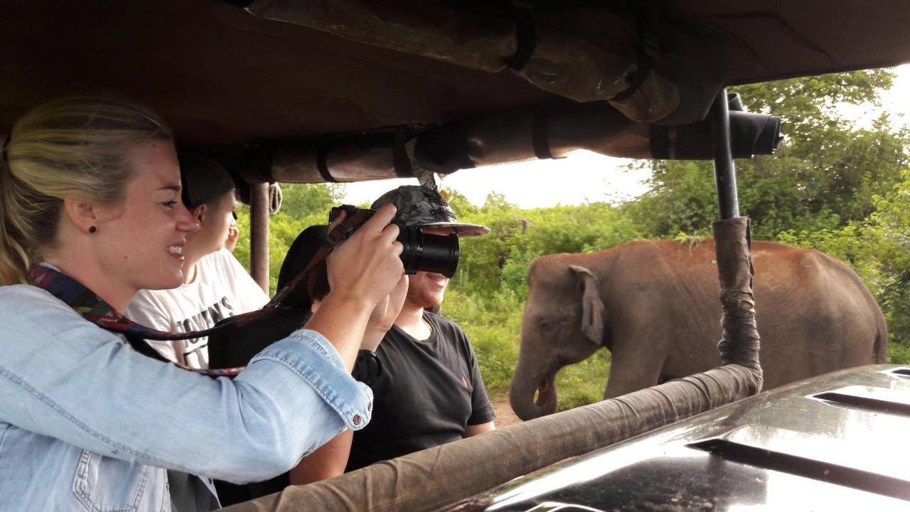 Tusker's Paradise Safari Villa Udawalawe Bagian luar foto
