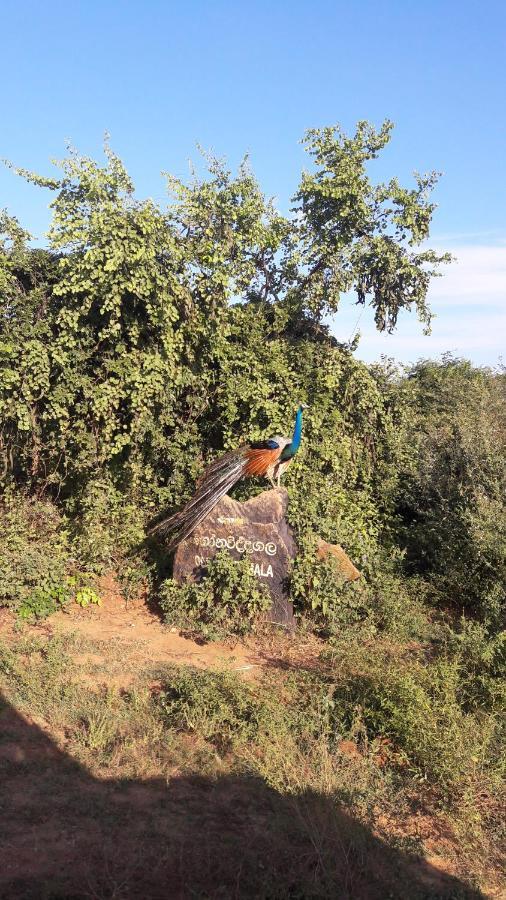 Tusker's Paradise Safari Villa Udawalawe Bagian luar foto