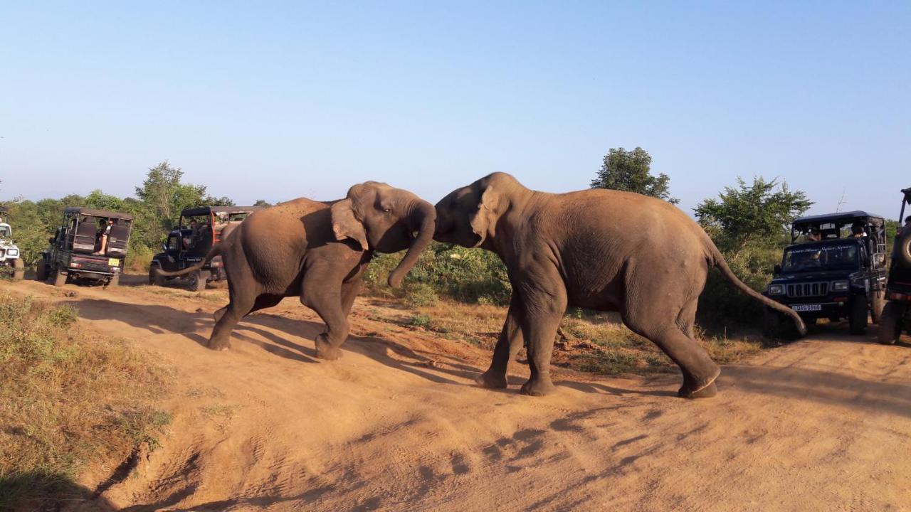Tusker's Paradise Safari Villa Udawalawe Bagian luar foto