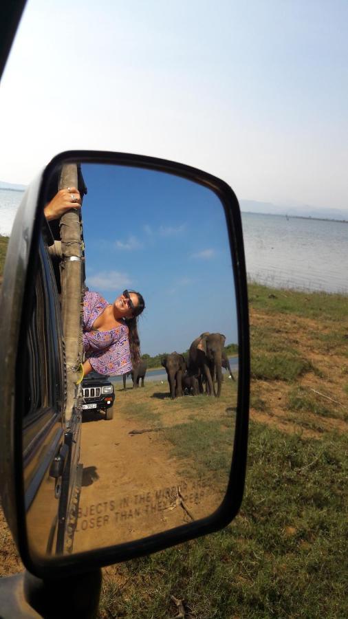 Tusker's Paradise Safari Villa Udawalawe Bagian luar foto